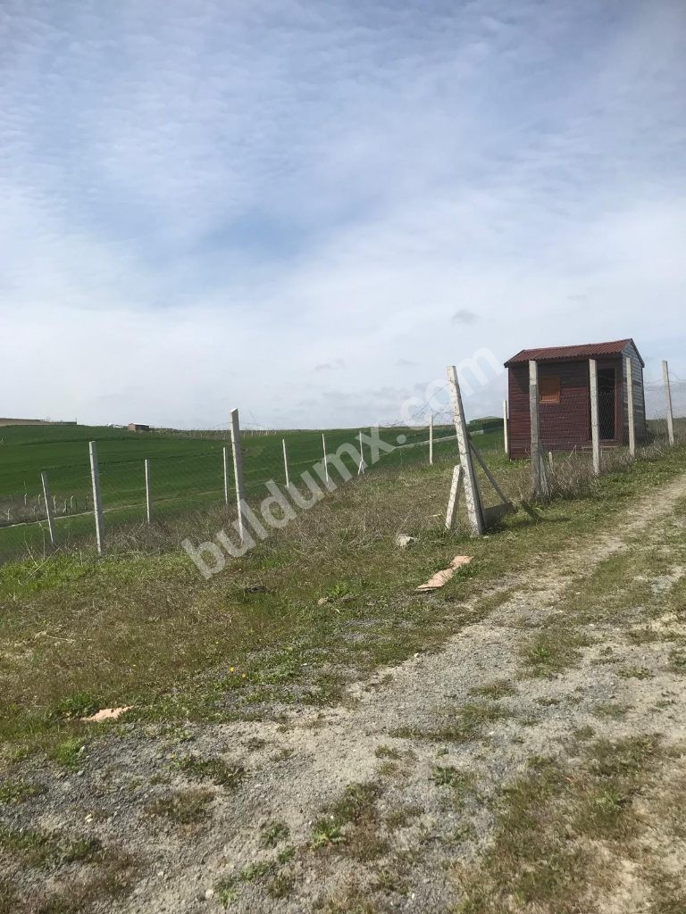 arnavutköy - Fotoğraf 2