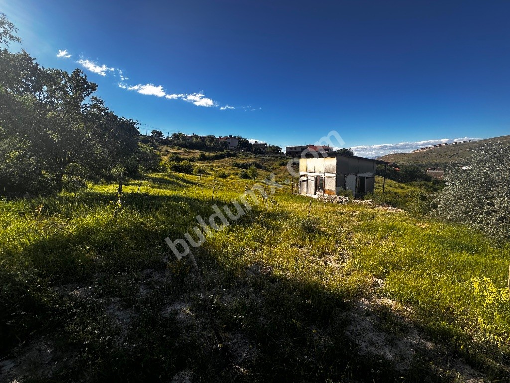 KONAK MERKEZDE SATILIK BAHÇE - Fotoğraf 10